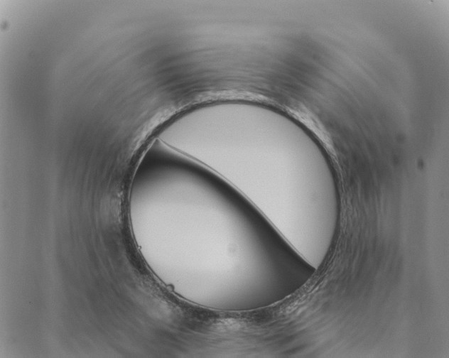 X0000090460111200707131003