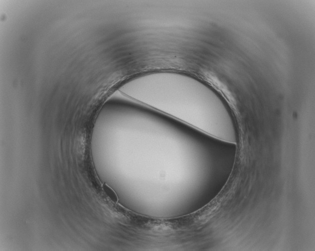 X0000090460113200707131003