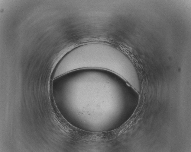 X0000090460148200707131002