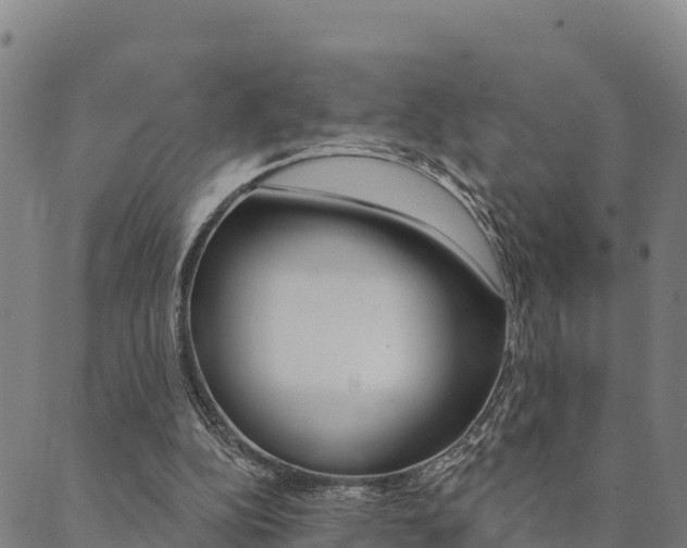 X0000090460152200707131002