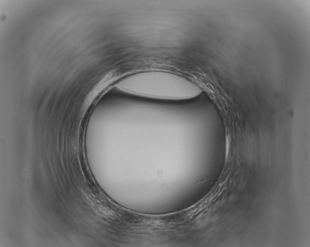 X0000090460195200707131002