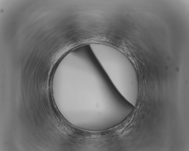 X0000090460196200707131002