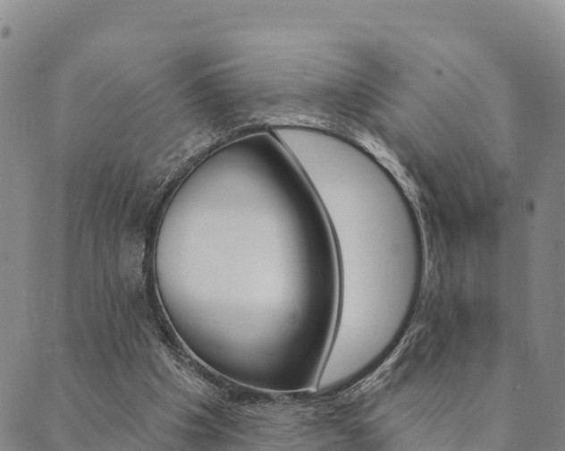 X0000090460201200707131002