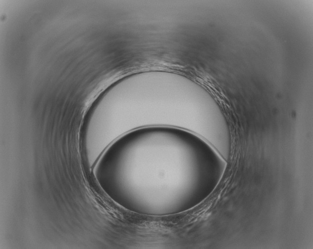 X0000090460244200707131000