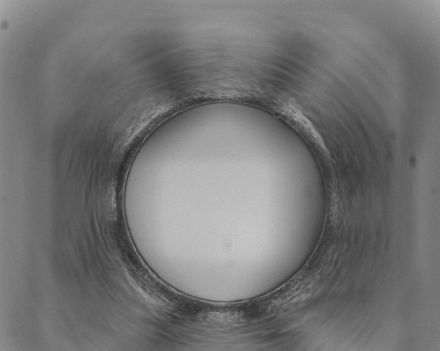 X0000090460251200707131001