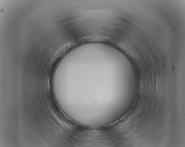 X0000090460254200707131001