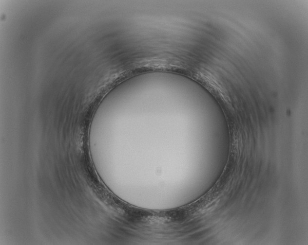 X0000090460255200707131001