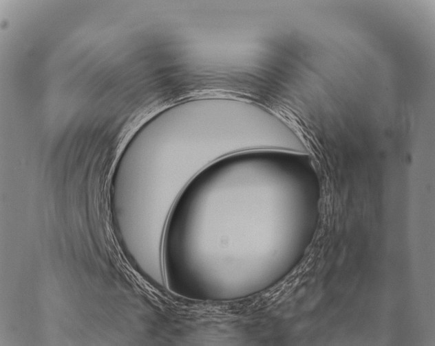 X0000090460289200707131000