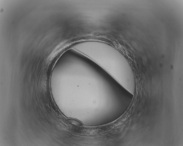 X0000090460295200707131000