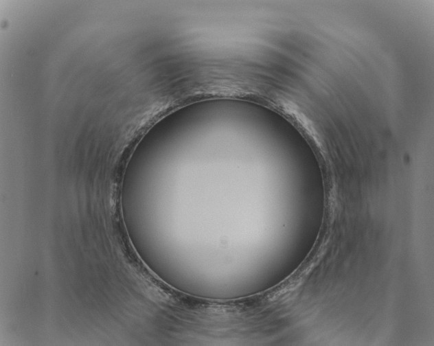 X0000090460305200707131000
