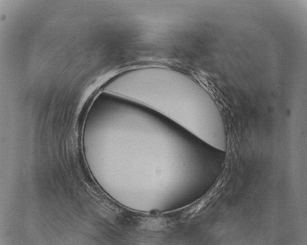 X0000090460342200707130959