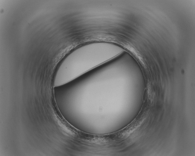 X0000090460445200707130958
