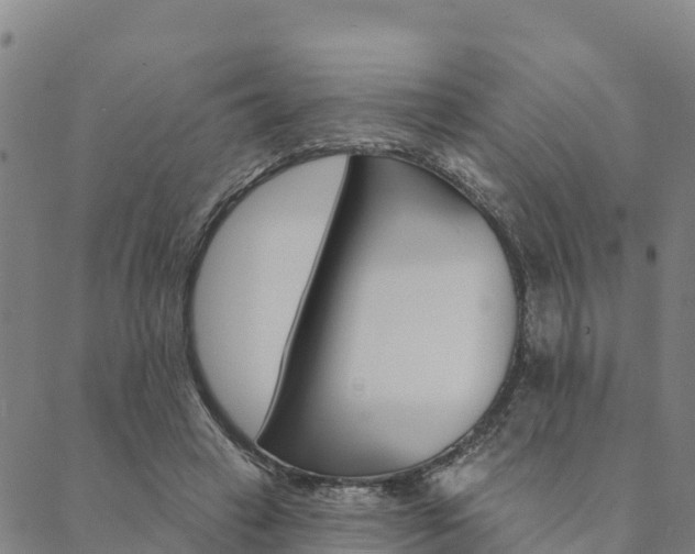 X0000090460449200707130958