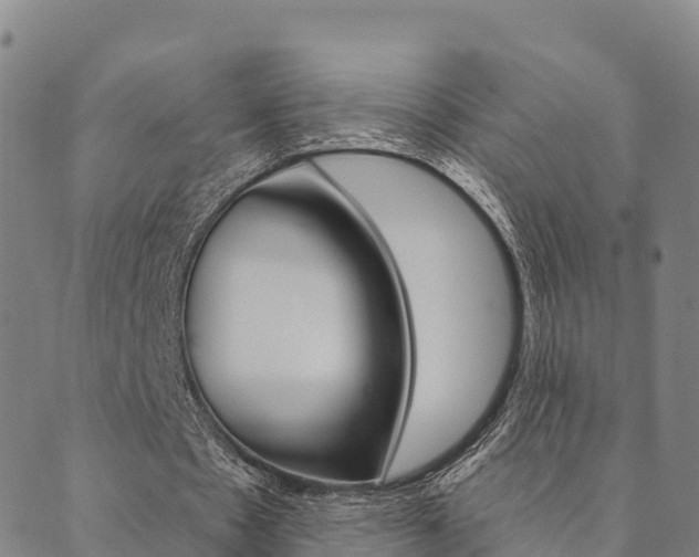 X0000090460481200707130957
