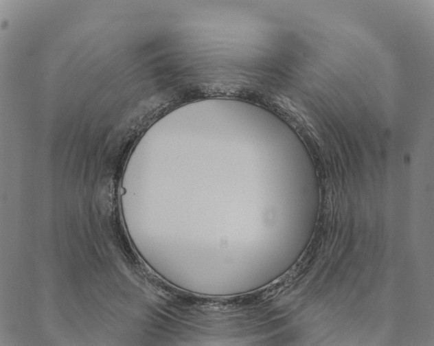 X0000090460498200707130957