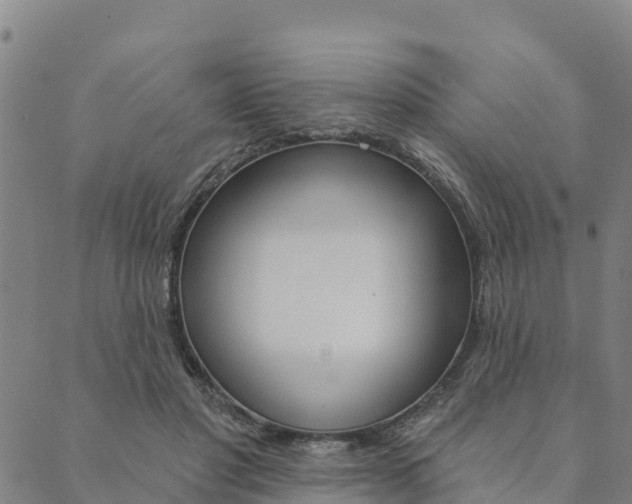 X0000090460501200707130957