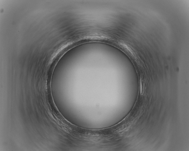 X0000090460531200707130956