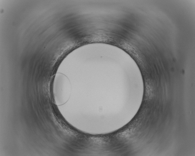 X0000090460534200707130956