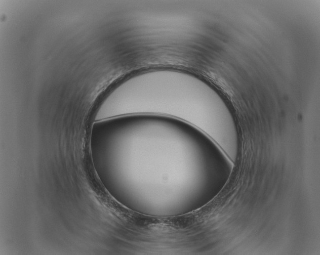 X0000090460544200707130956
