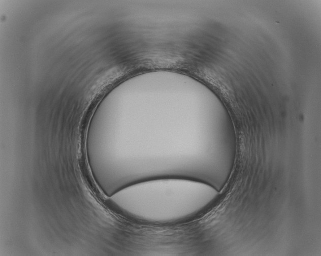 X0000090460582200707130956