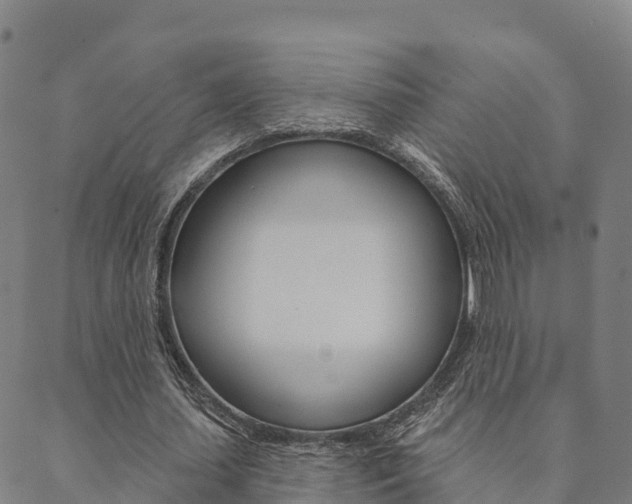 X0000090460627200707130954