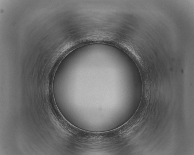 X0000090460631200707130954