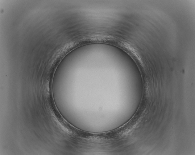 X0000090460633200707130954