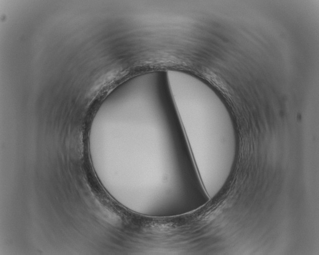 X0000090460638200707130954