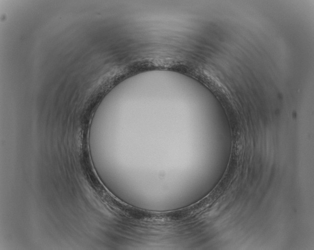 X0000090460639200707130954