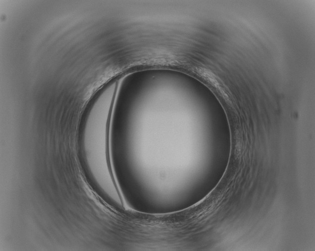X0000090460677200707130954