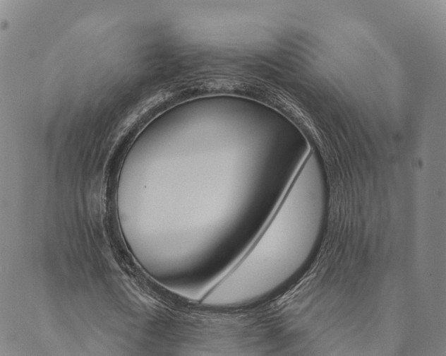 X0000090460722200707130953
