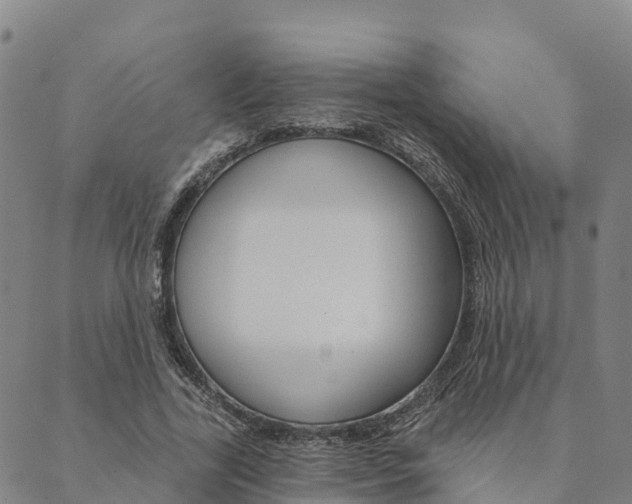 X0000090460731200707130953
