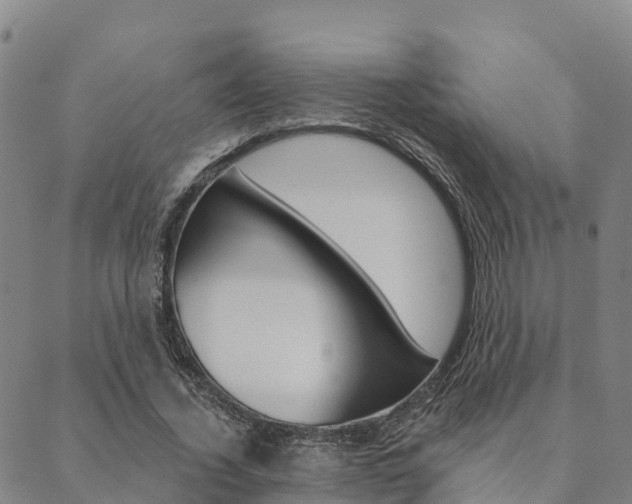 X0000090460732200707130953