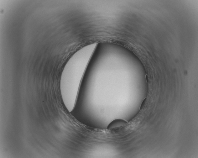 X0000090460768200707130953