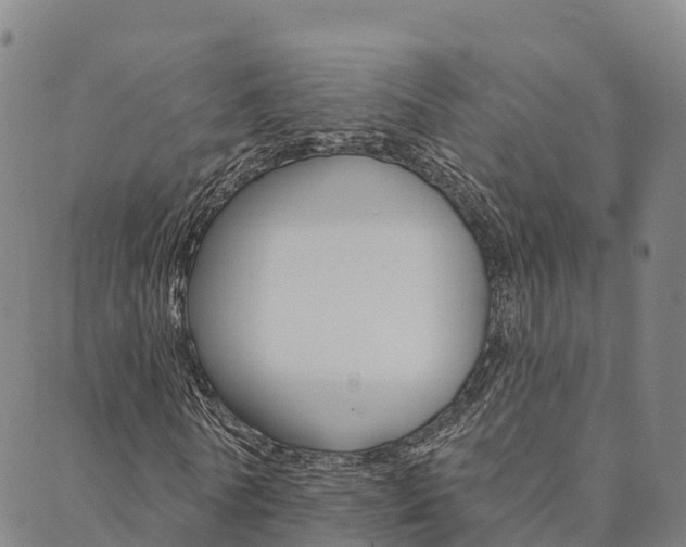 X0000090460770200707130953