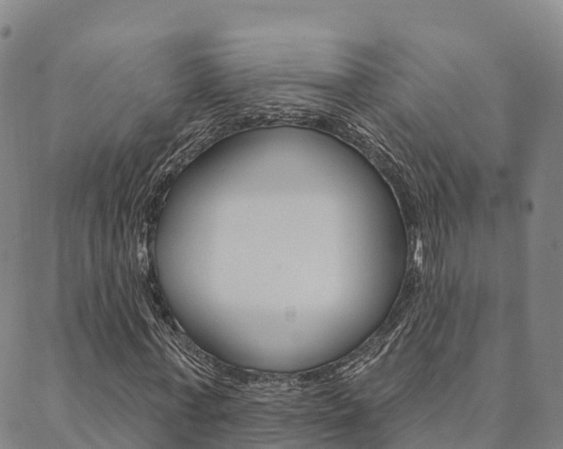 X0000090460771200707130953