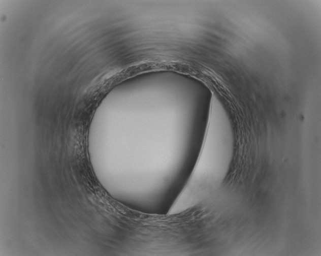 X0000090460773200707130953