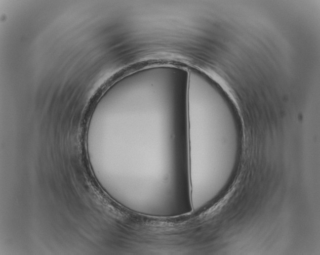 X0000090460783200707130952
