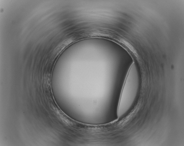 X0000090460793200707130952