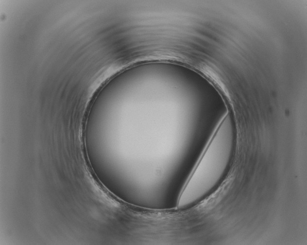X0000090460797200707130952