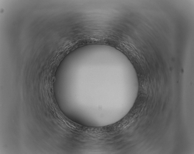 X0000090460817200707130951