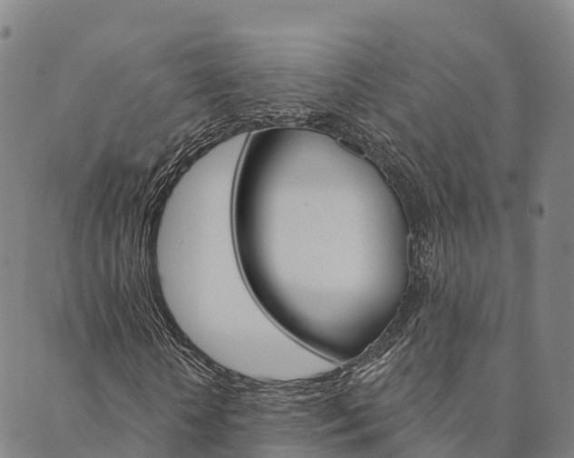 X0000090460818200707130951