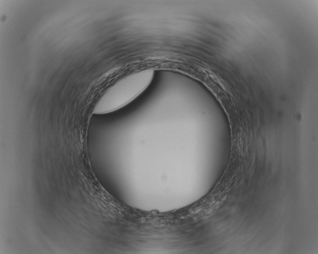 X0000090460821200707130951