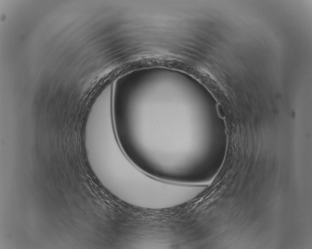 X0000090460822200707130951