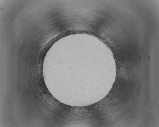 X0000090460824200707130951