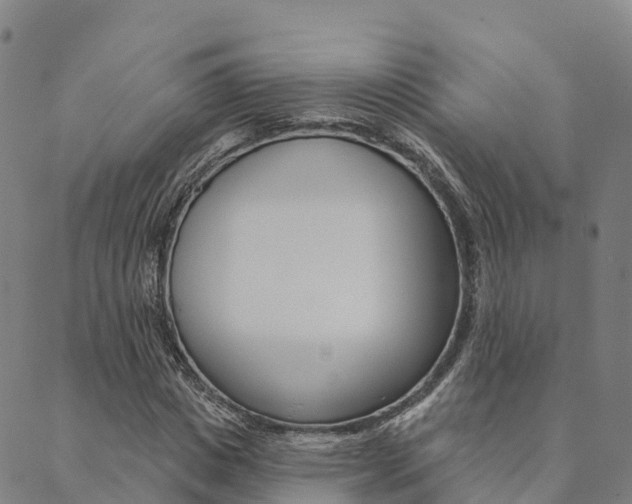 X0000090460825200707130951