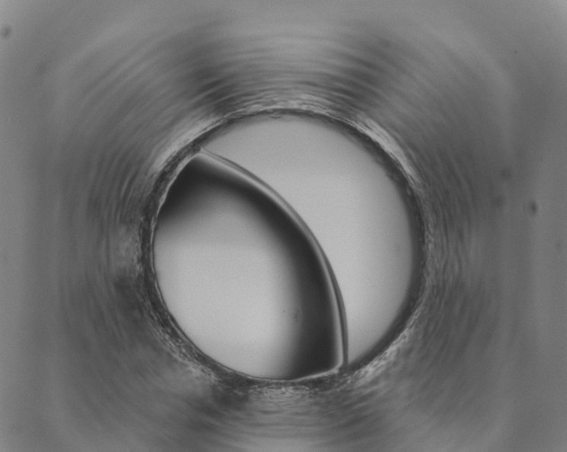 X0000090460826200707130951