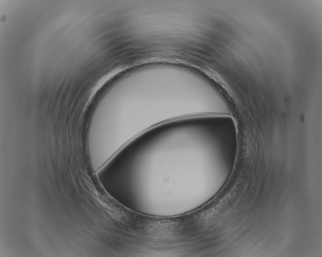 X0000090460830200707130951