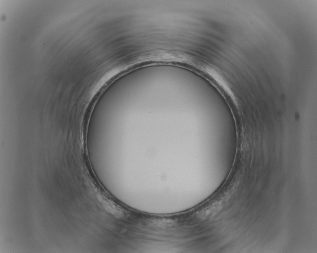 X0000090460837200707130951