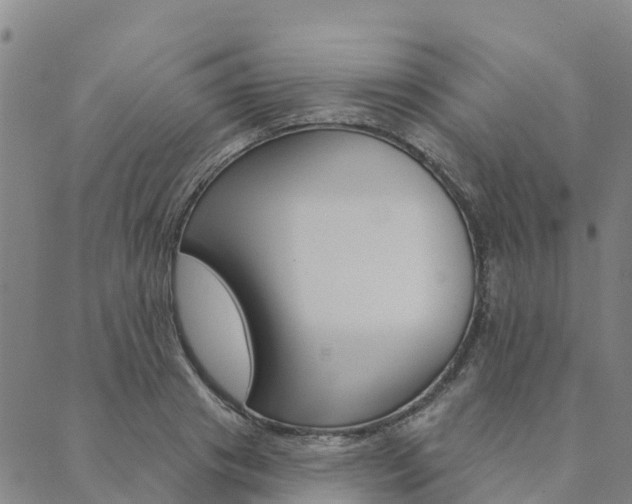 X0000090460841200707130951